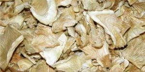Dehydrated Oyester Mushroom