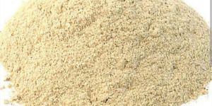 Oyester Mushroom Powder