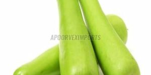Fresh Bottle Gourd
