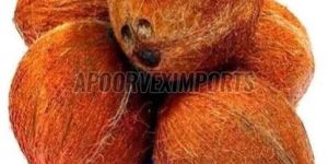 Fresh Fully Husked Coconut