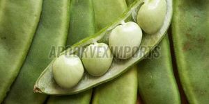 Fresh Lima Beans
