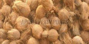Fresh Semi Husked Coconut