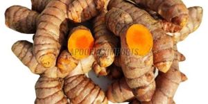 Raw Turmeric