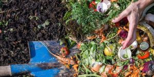 Organic Waste Compost