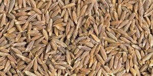 Cumin Seeds