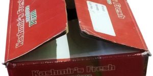 Fruit Packaging Boxes