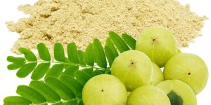 Dehydrated Amla Powder