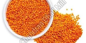 Masoor Dal
