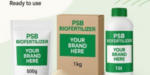 Phosphate Solubilizing Bacteria