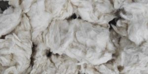 Cotton Waste
