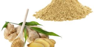 Dehydrated Ginger Powder