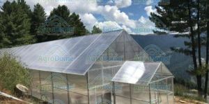 Polycarbonate Sheet Greenhouse