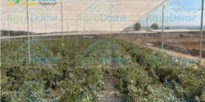 Shade Net House Structure for Orchards