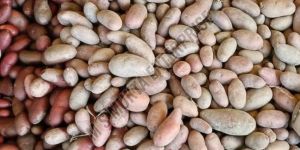 a Grade Fresh Potato