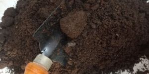 Brown Cow Dung Vermicompost