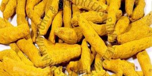 Dried Turmeric Finger