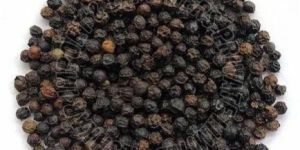 Malabar Black Pepper Seeds