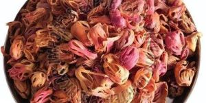 Red Dried Nutmeg Mace Spice