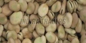 Dried Broad Beans