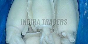 Frozen Cuttlefish