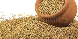 Kodo Millet Seeds