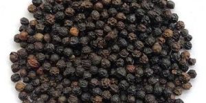 Malabar Grade Black Pepper Seeds
