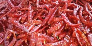 Sannam Dry Red Chilli