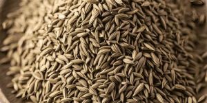 Brown Cumin Seeds