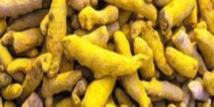 Raw Turmeric Finger
