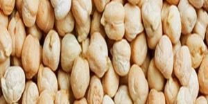 A Grade Kabuli Chickpeas