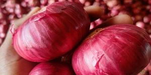 Nashik Fresh Red Onion
