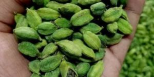 Green Cardamom