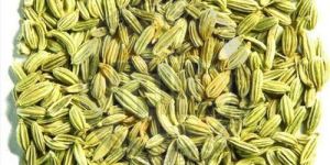 a Grade Fennel Seeds
