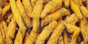 A Grade Turmeric Finger