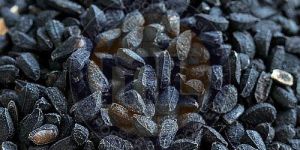 Dried Kalonji Seeds