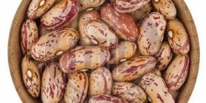 Light Speckled Kidney Beans