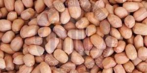 Raw Peanuts