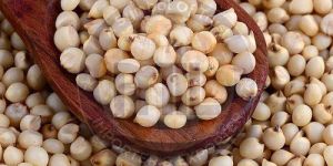 Sorghum Millet Seeds