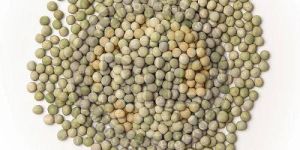 Whole Dried Green Peas
