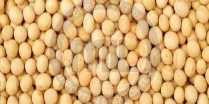 Whole Dried Yellow Peas