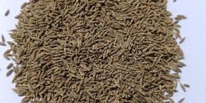 European Quality Cumin Seeds
