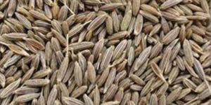 Cumin Brown Seed