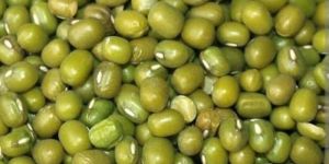 Mung Beans