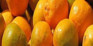 A Grade Fresh Orange