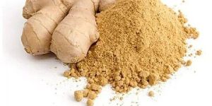 Dehydrated Ginger Powder