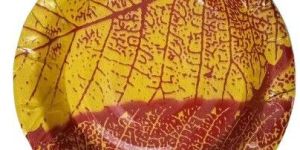 Plate Print 7 Inch Disposable Paper Plate