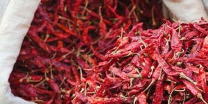 Dried Red Chilies