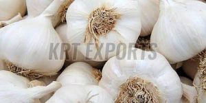 A Grade Natural White Garlic