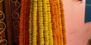 Genda Phool
