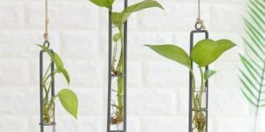 Set OF 3 Hanging Metal Wire Glass Tube